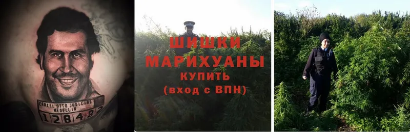 Шишки марихуана SATIVA & INDICA  кракен как войти  Балабаново 